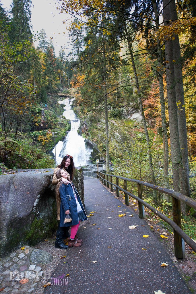 Watches the highest waterfall of Germany in Triberg.
